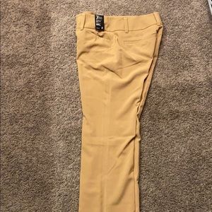 Barely Bootcut Dress Pants (Stretch!)